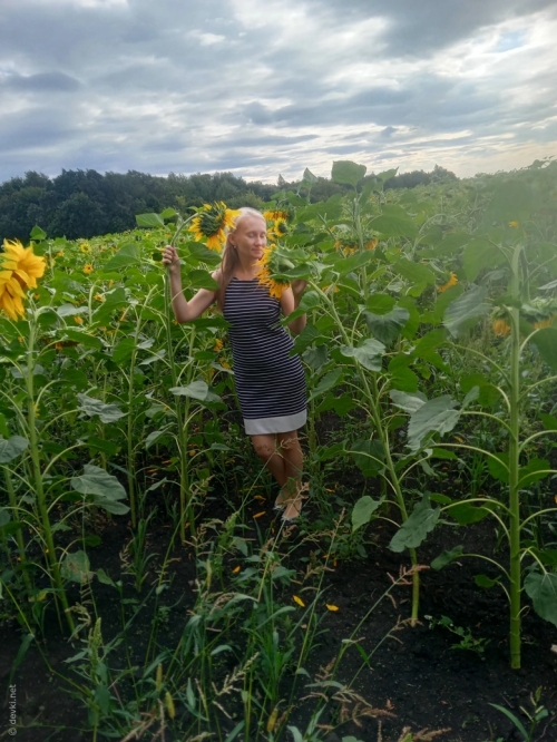 Topless Babe Posing in Sunflowers - Explicit Boobs Photoshoot